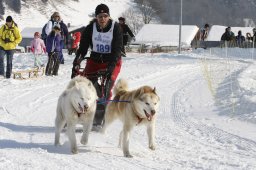 Lenk 2012 SM